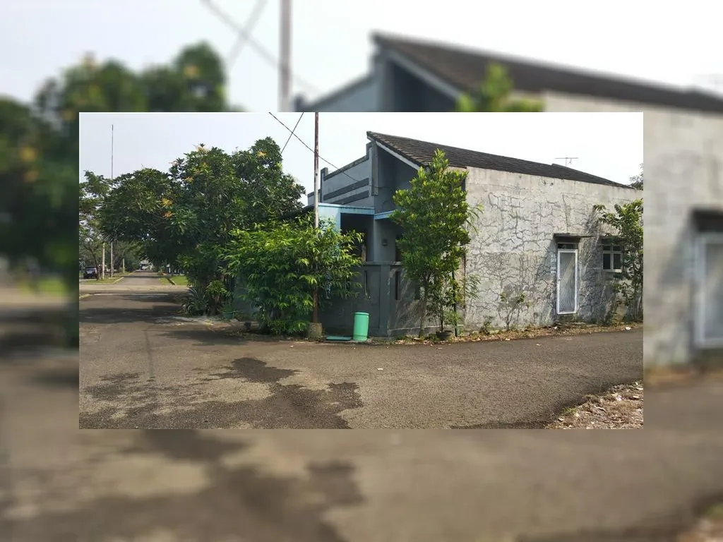 WhatsApp Image 2023-01-12 at 09.41.17.jpeg